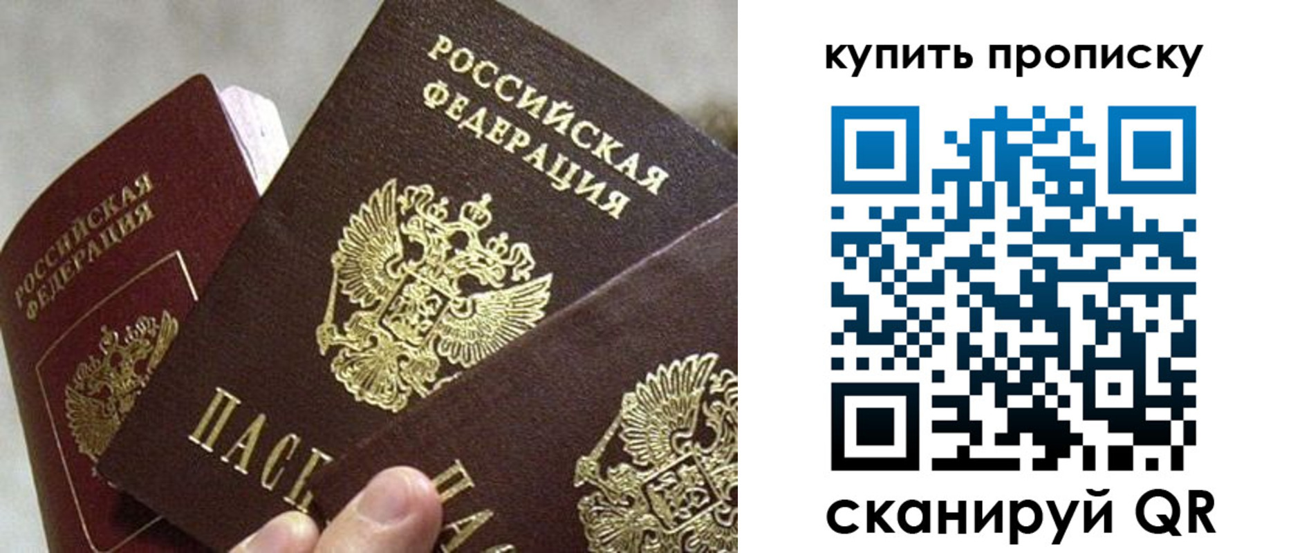 прописка для школы в Клинцах